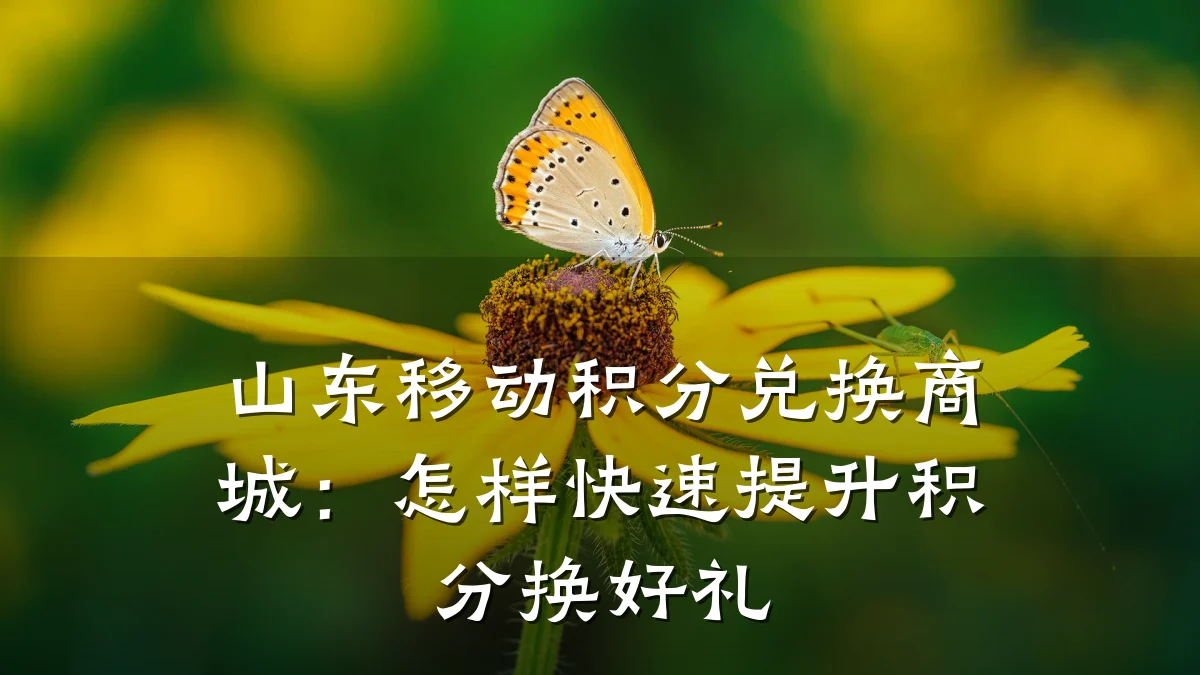 山东移动积分兑换商城:怎样快速提升积分换好礼