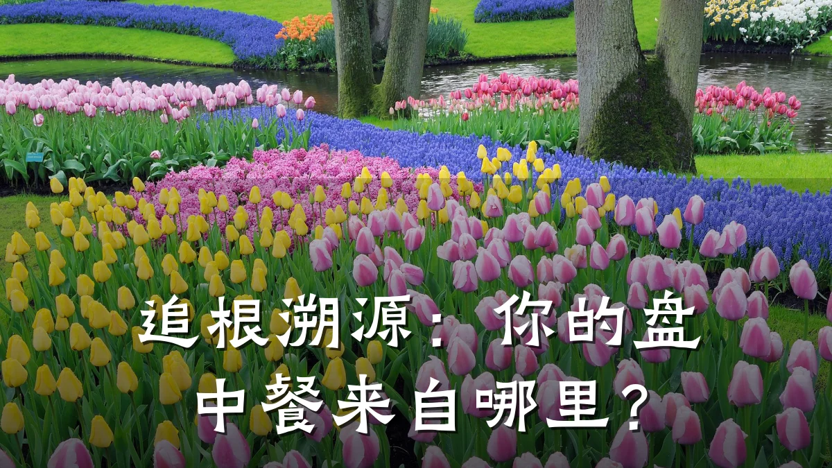 追根溯源：你的盘中餐来自哪里？