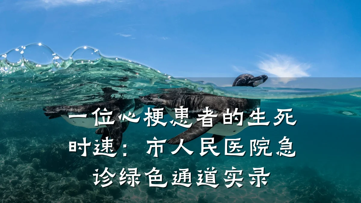 一位心梗患者的生死时速：市人民医院急诊绿色通道实录