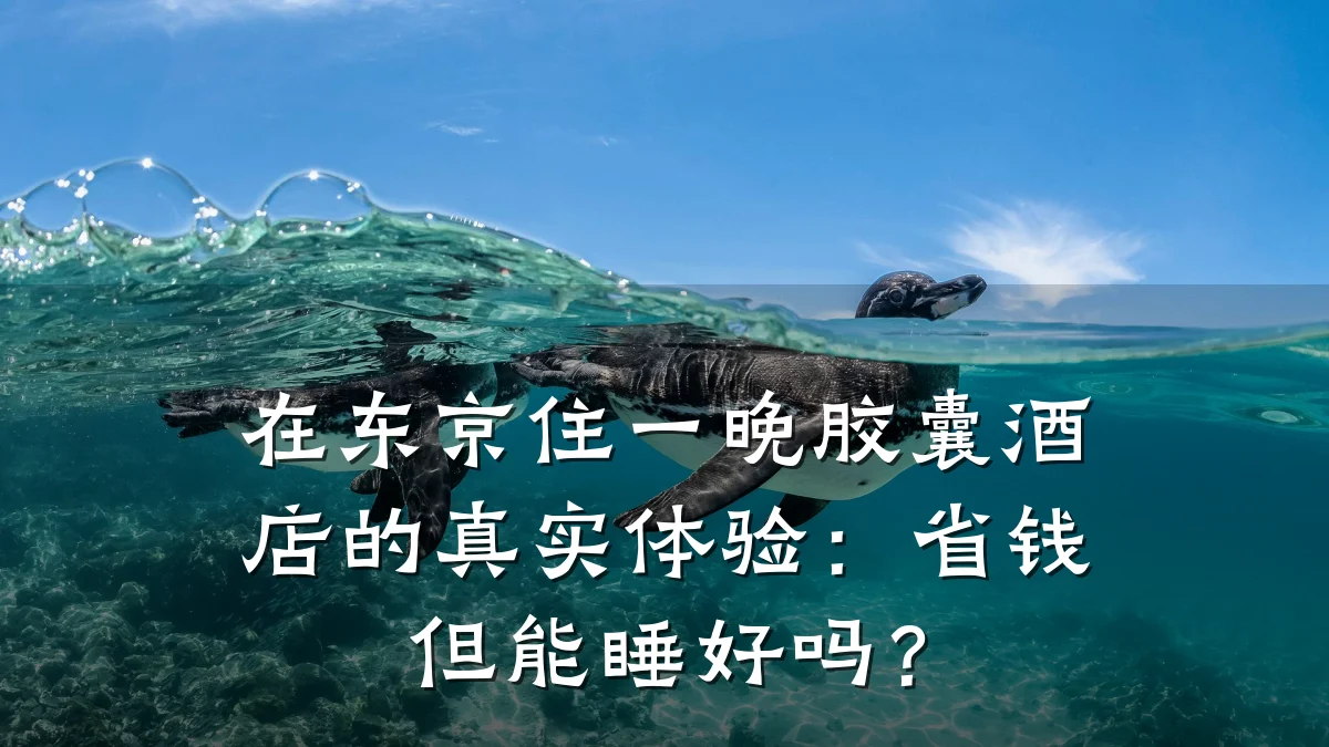 在东京住一晚胶囊酒店的真实体验：省钱但能睡好吗？