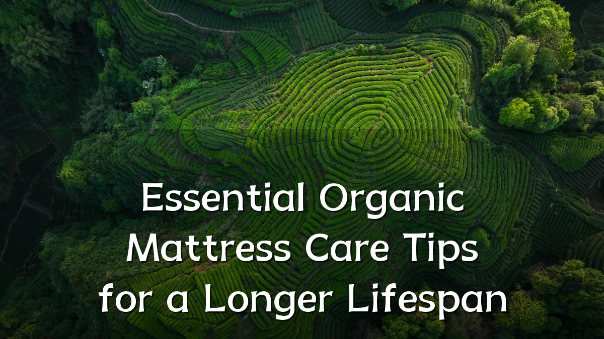Essential Organic Mattress Care Tips for a Longer Lifespan