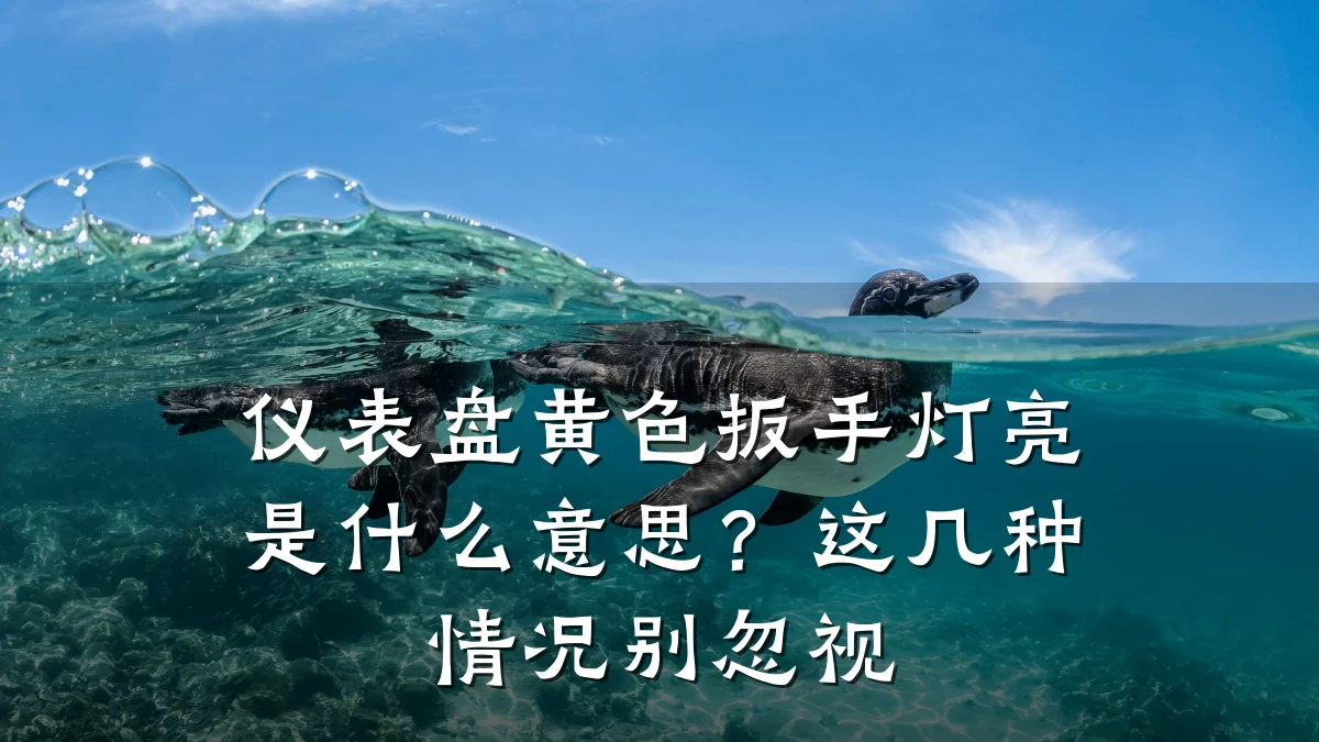 仪表盘黄色扳手灯亮是什么意思？这几种情况别忽视