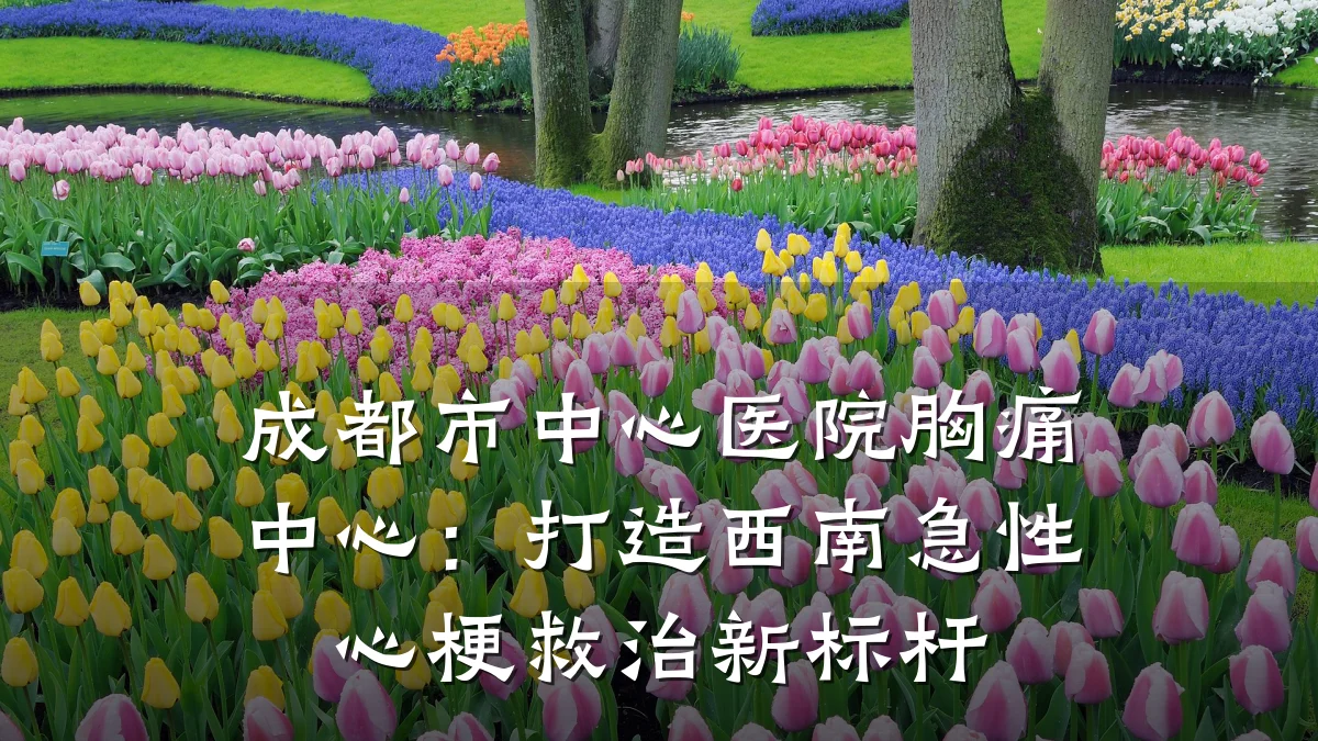 成都市中心医院胸痛中心：打造西南急性心梗救治新标杆