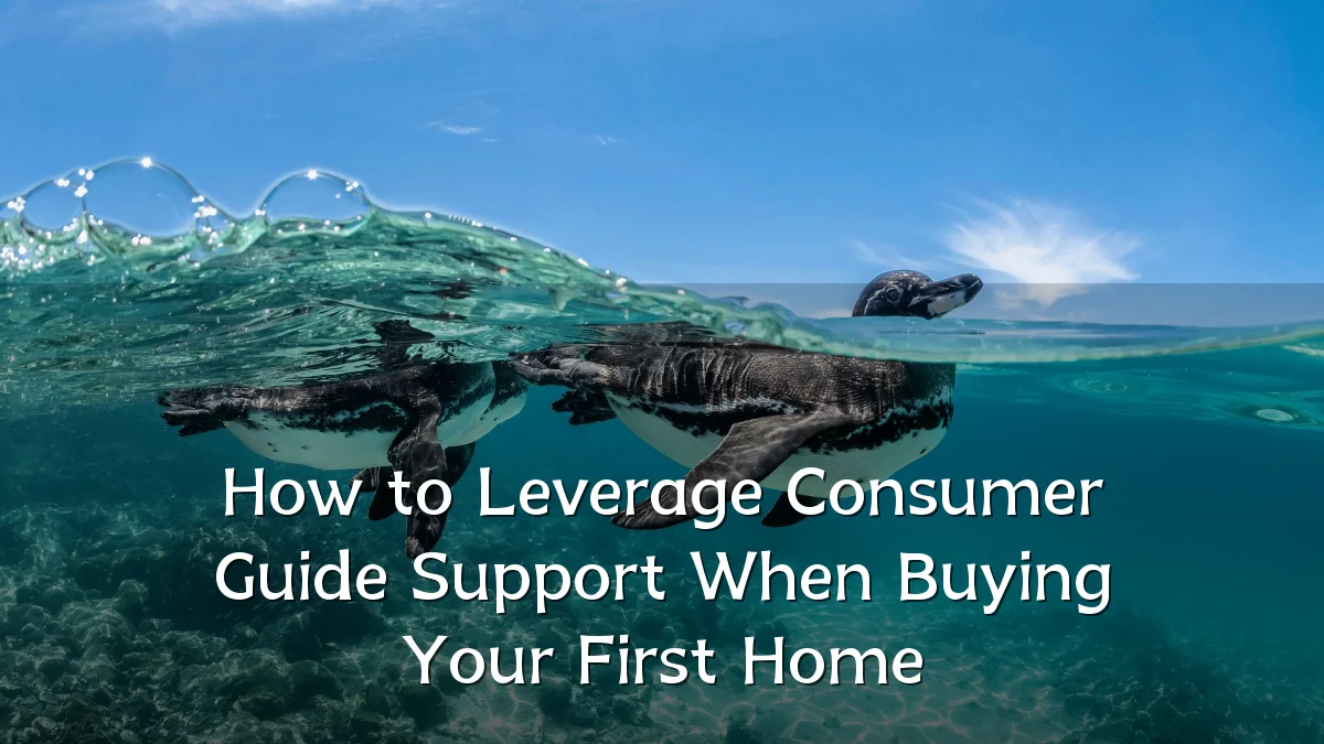 How to Leverage Consumer Guide Support When Buying Your First Home