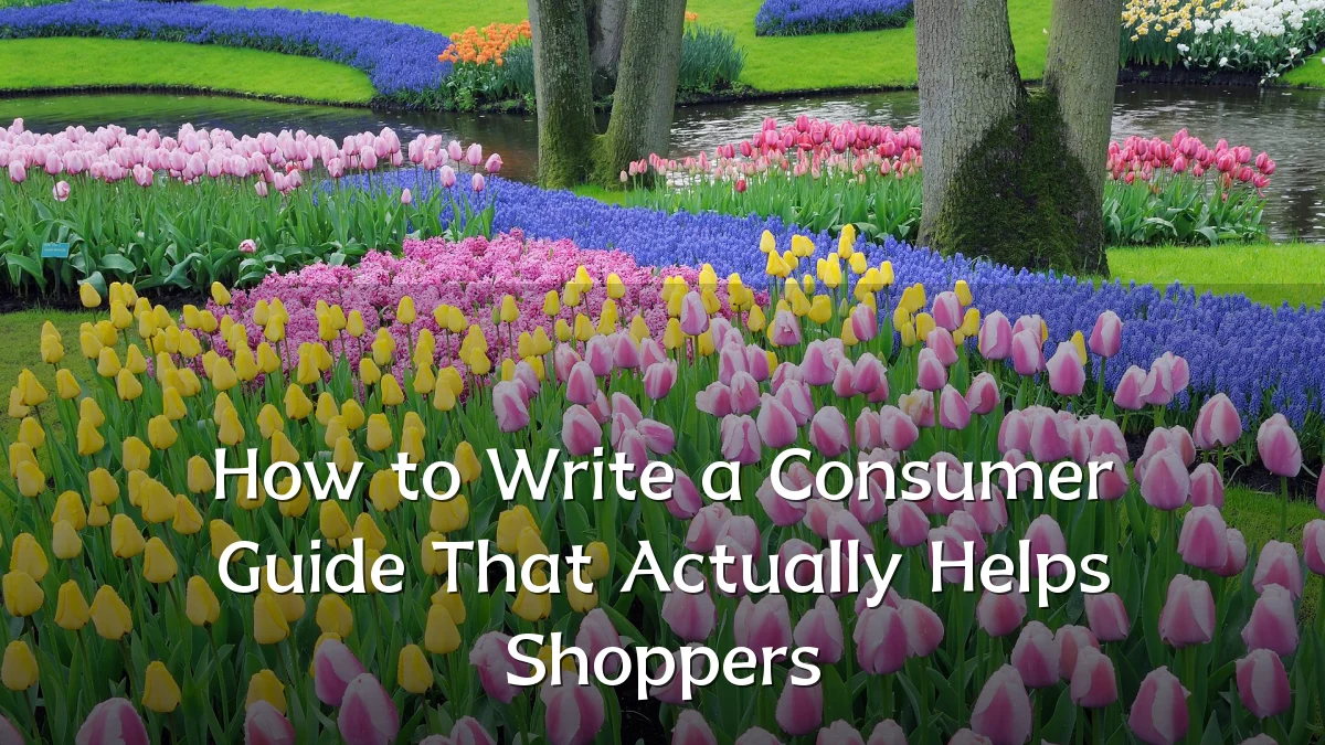How to Write a Consumer Guide That Actually Helps Shoppers