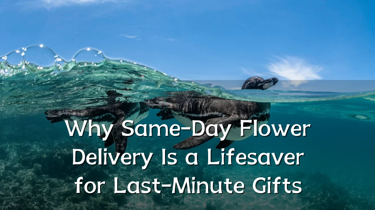 Why Same-Day Flower Delivery Is a Lifesaver for Last-Minute Gifts