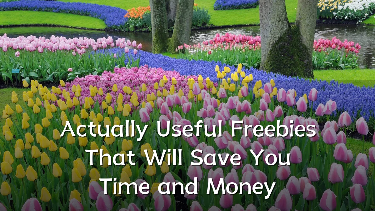 Actually Useful Freebies That Will Save You Time and Money