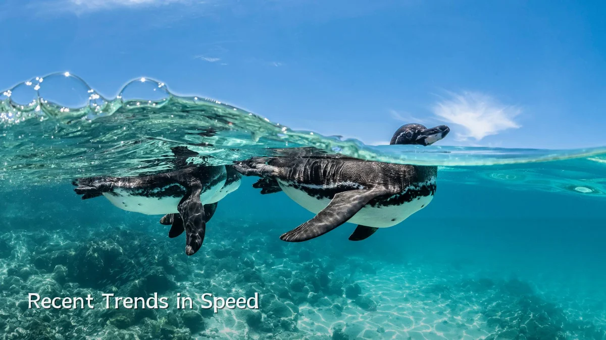 Recent Trends in Speed