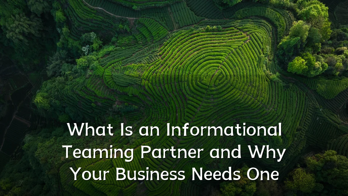 What Is an Informational Teaming Partner and Why Your Business Needs One