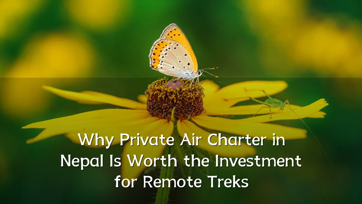 Why Private Air Charter in Nepal Is Worth the Investment for Remote Treks
