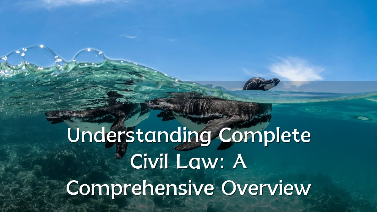 Understanding Complete Civil Law: A Comprehensive Overview