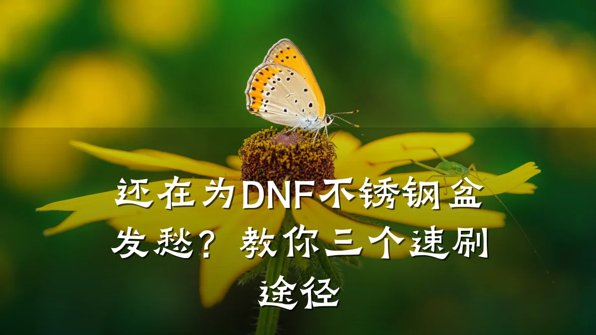 还在为DNF不锈钢盆发愁？教你三个速刷途径