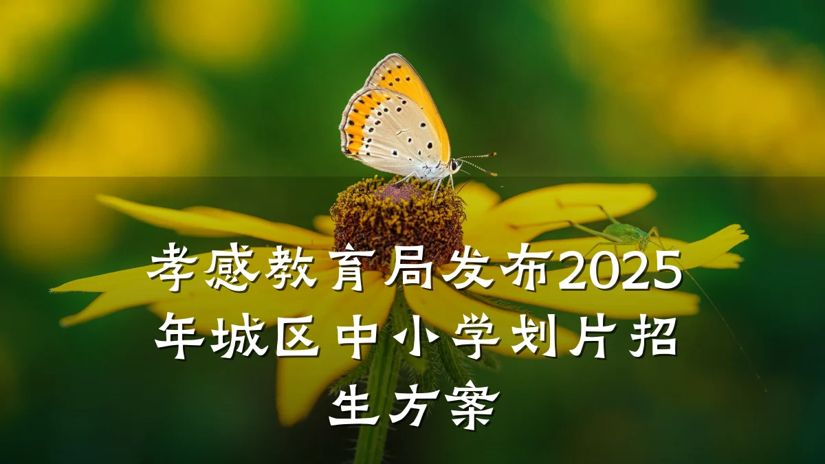 孝感教育局发布2025年城区中小学划片招生方案