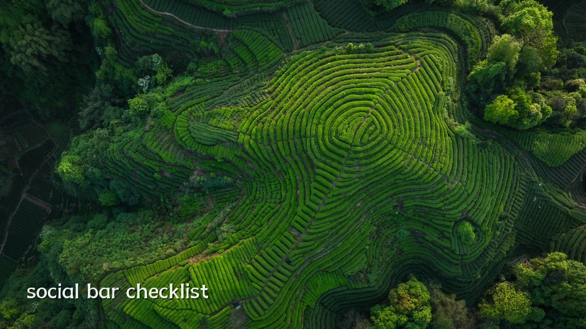 social bar checklist