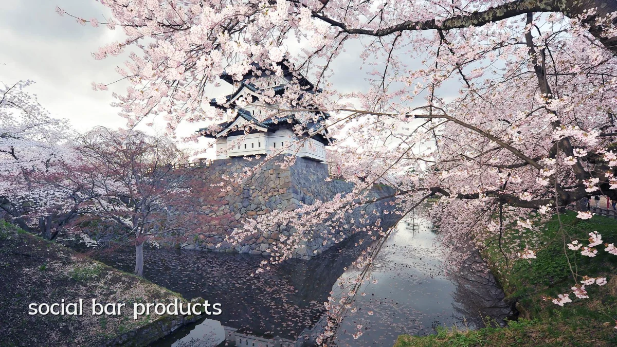 social bar products