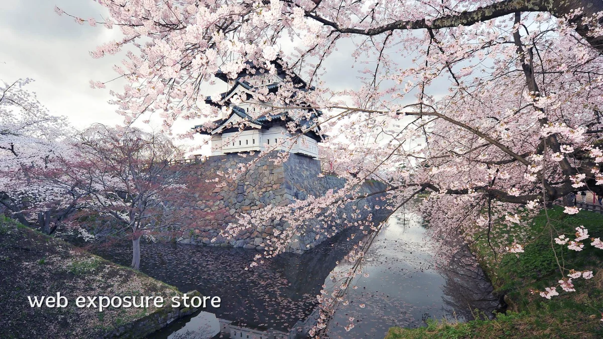 web exposure store