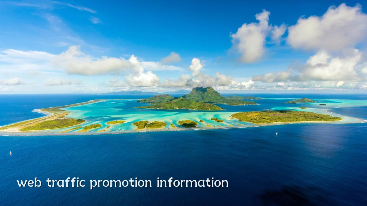 web traffic promotion information
