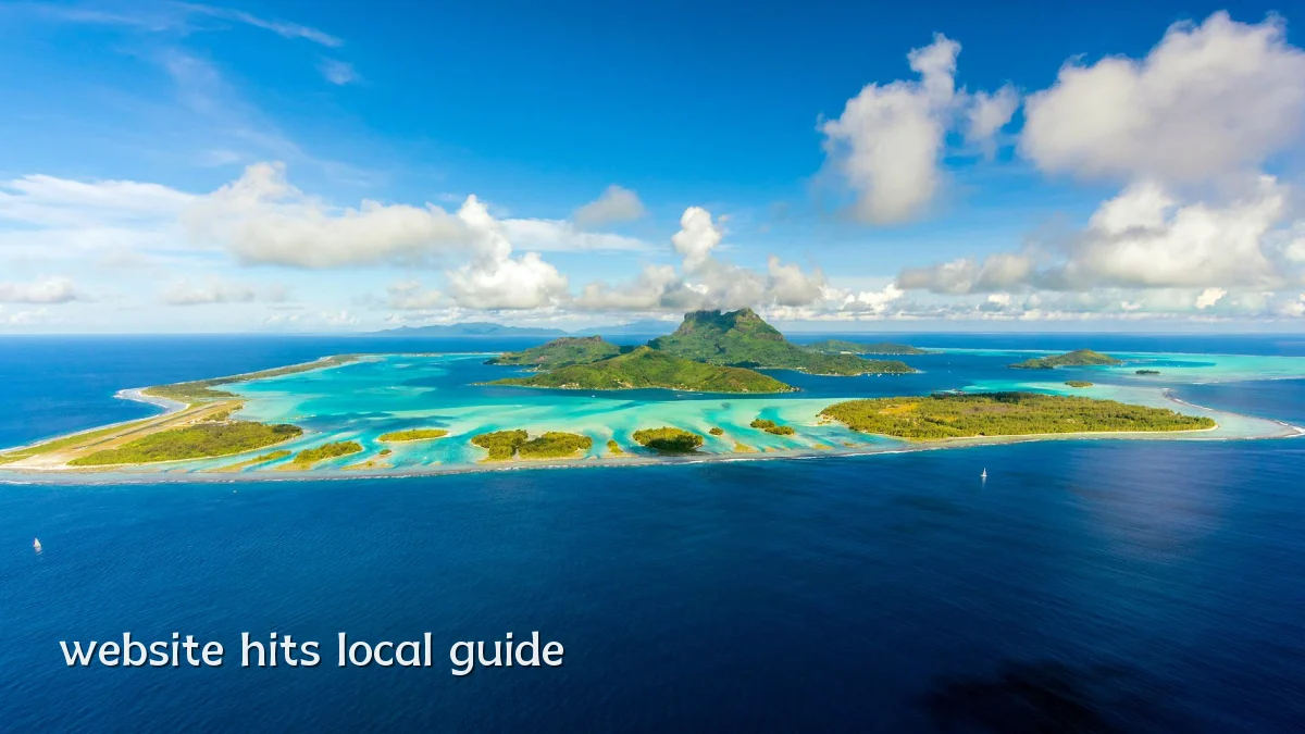 website hits local guide
