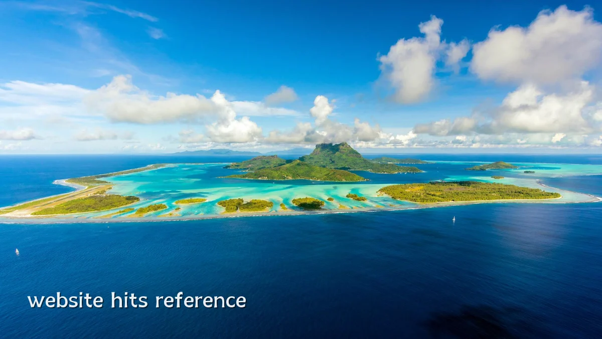 website hits reference