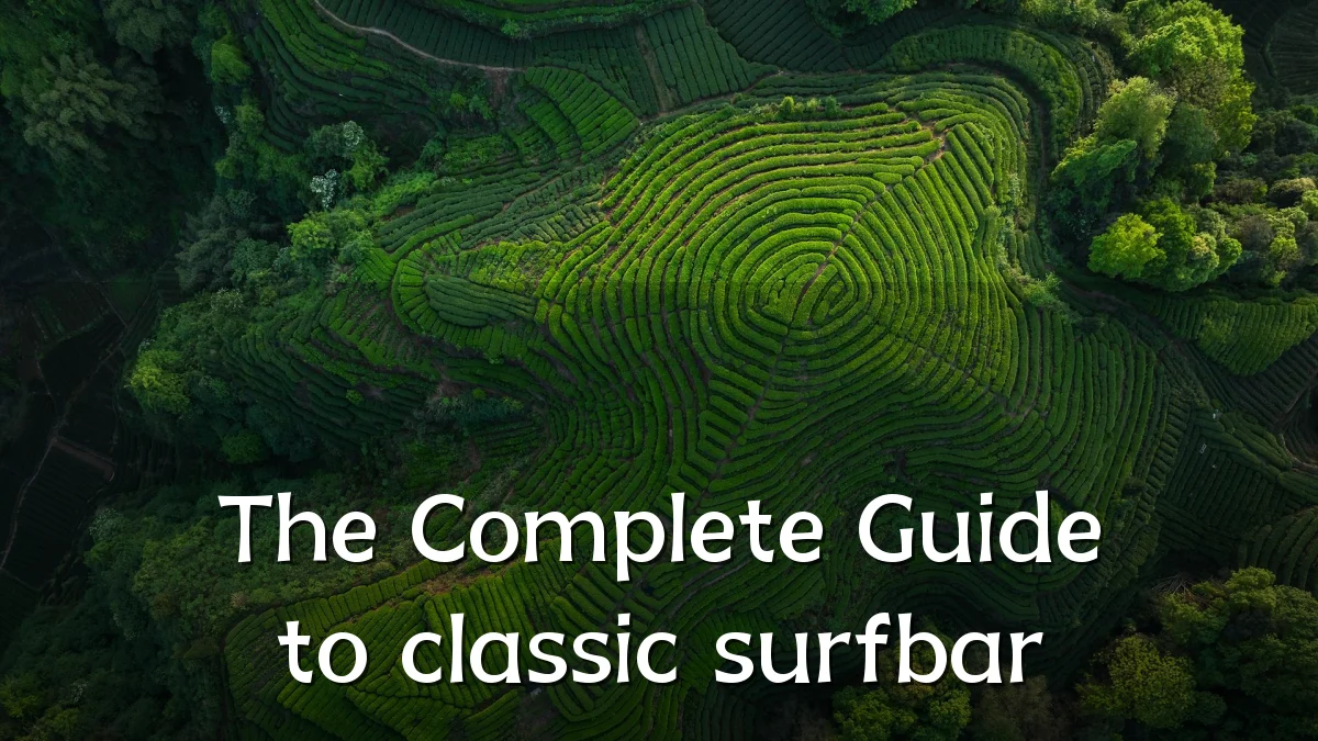 The Complete Guide to classic surfbar
