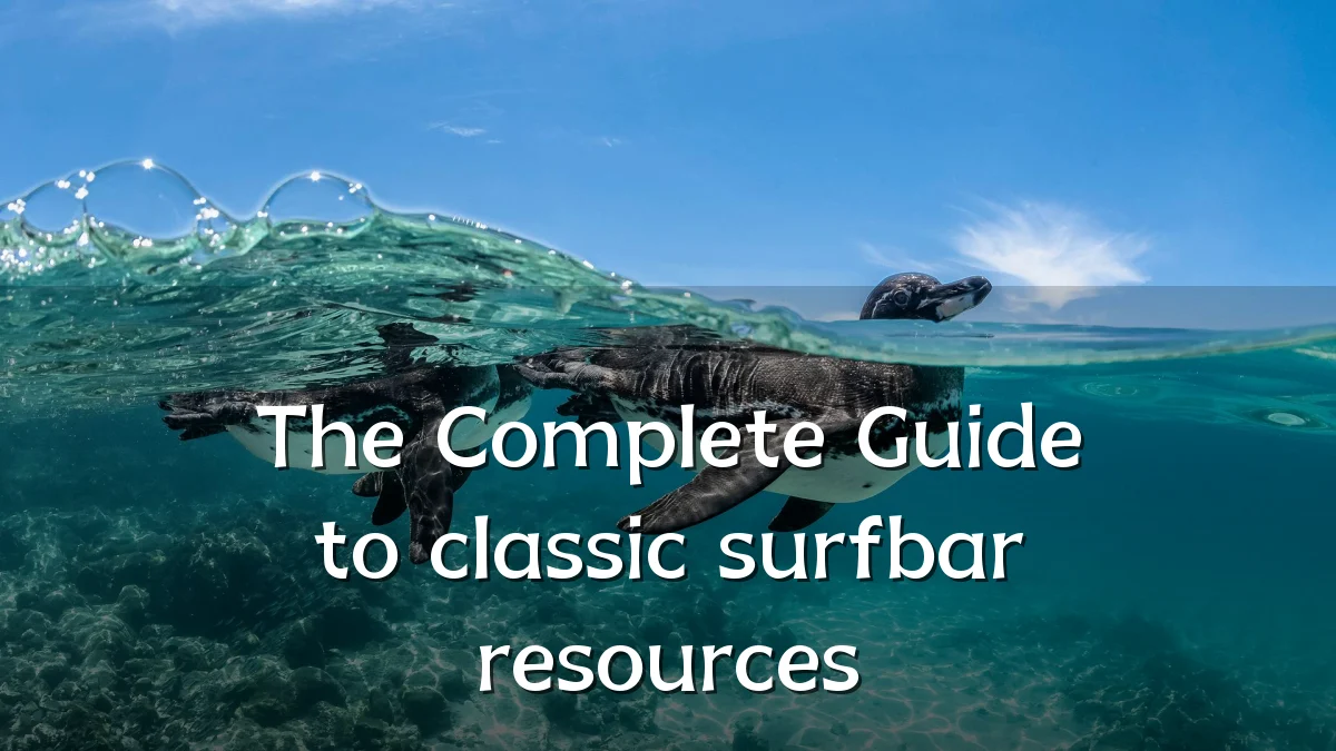 The Complete Guide to classic surfbar resources