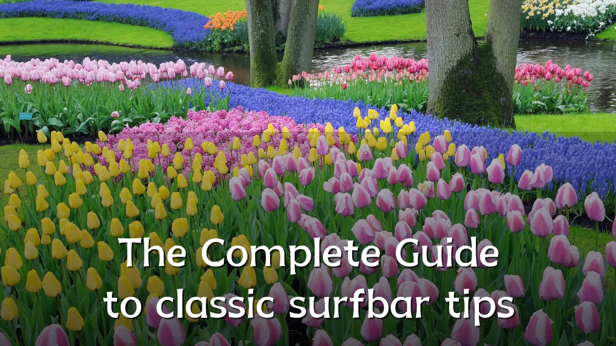The Complete Guide to classic surfbar tips