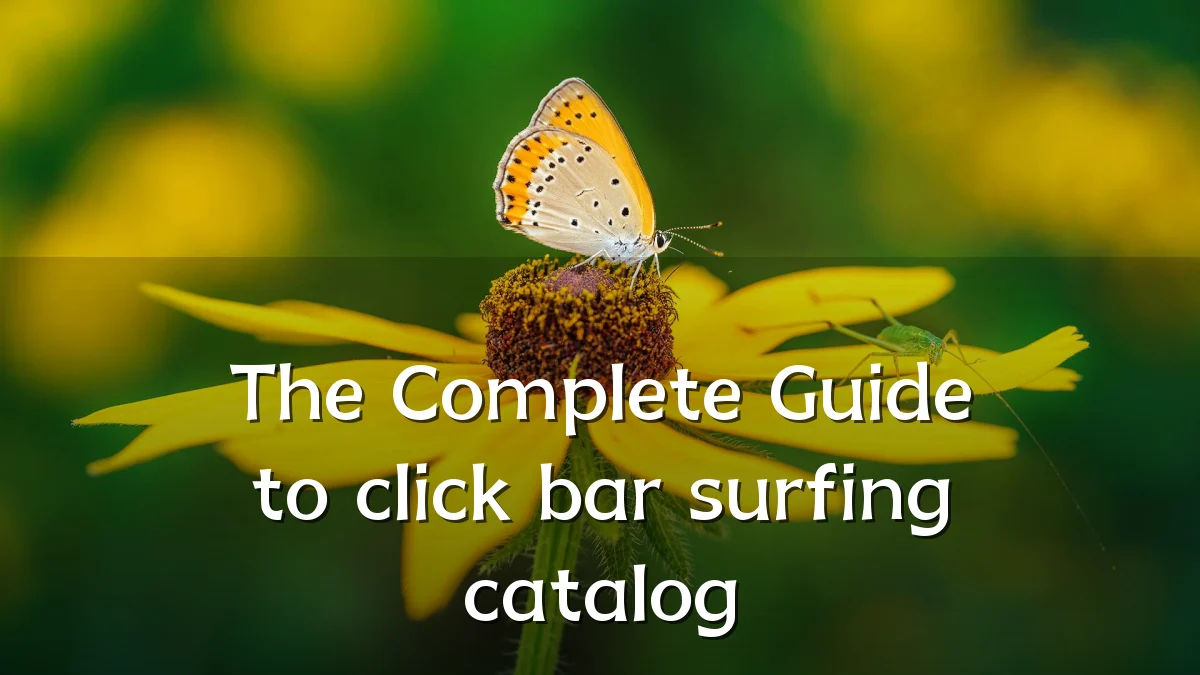 The Complete Guide to click bar surfing catalog