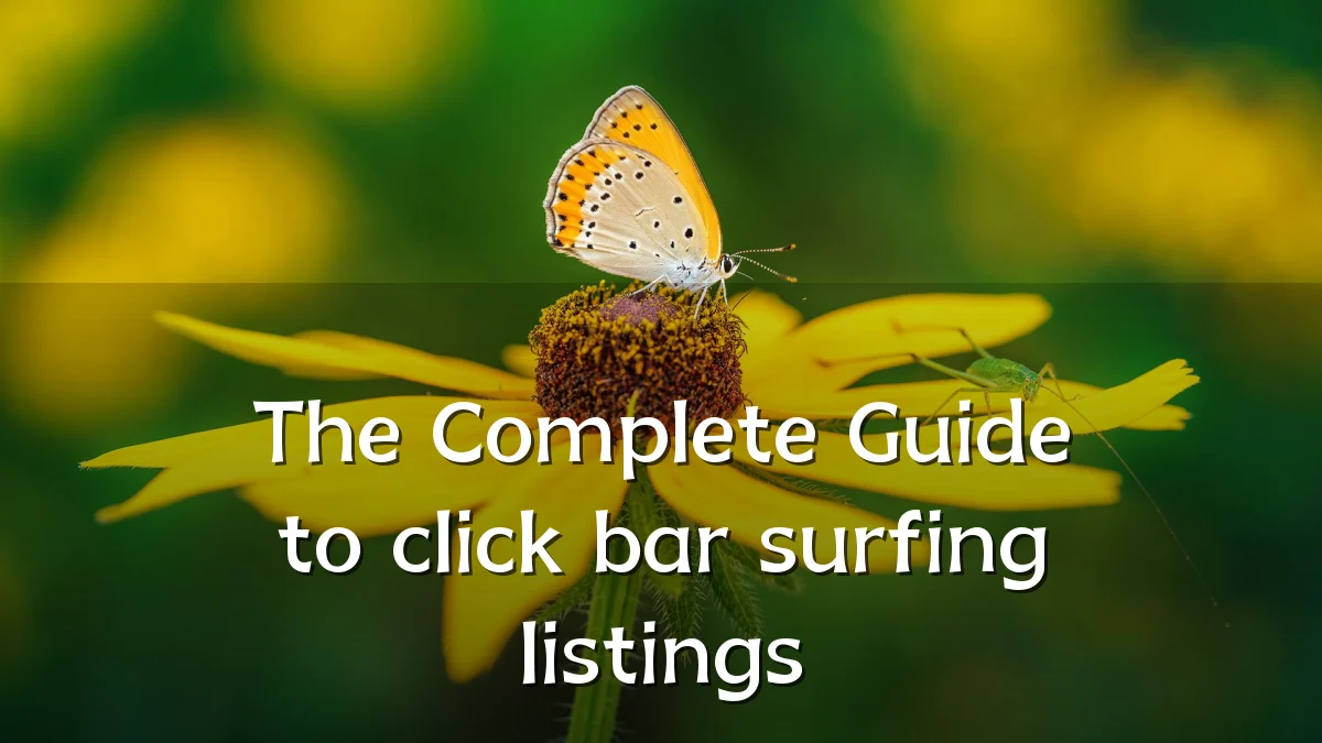 The Complete Guide to click bar surfing listings