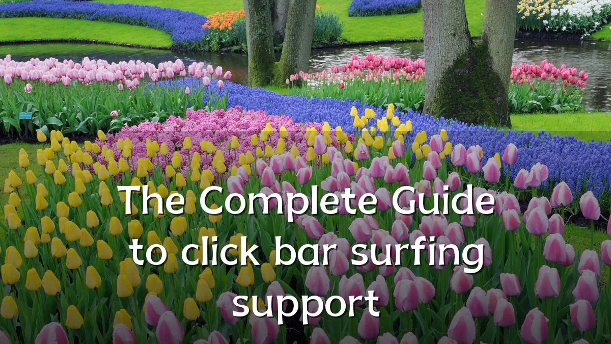 The Complete Guide to click bar surfing support