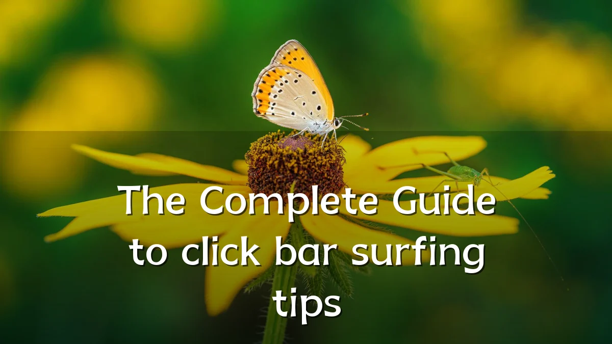 The Complete Guide to click bar surfing tips