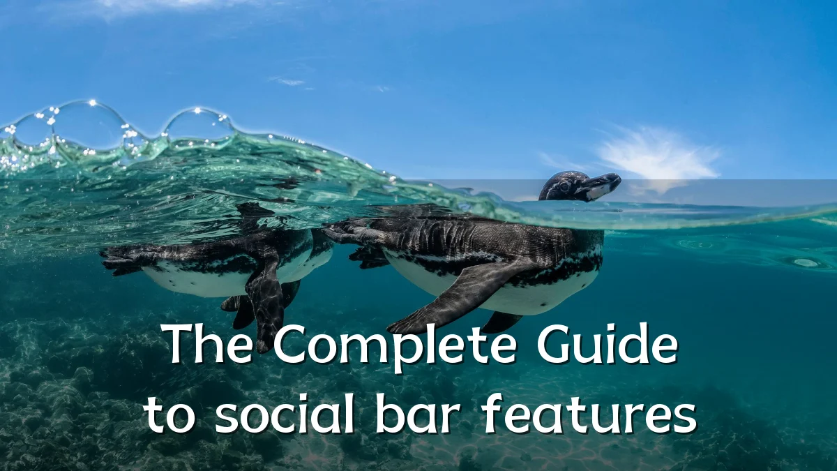 The Complete Guide to social bar features