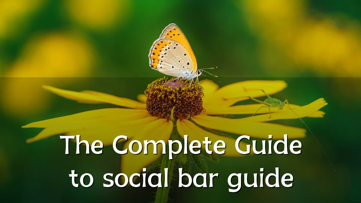 The Complete Guide to social bar guide