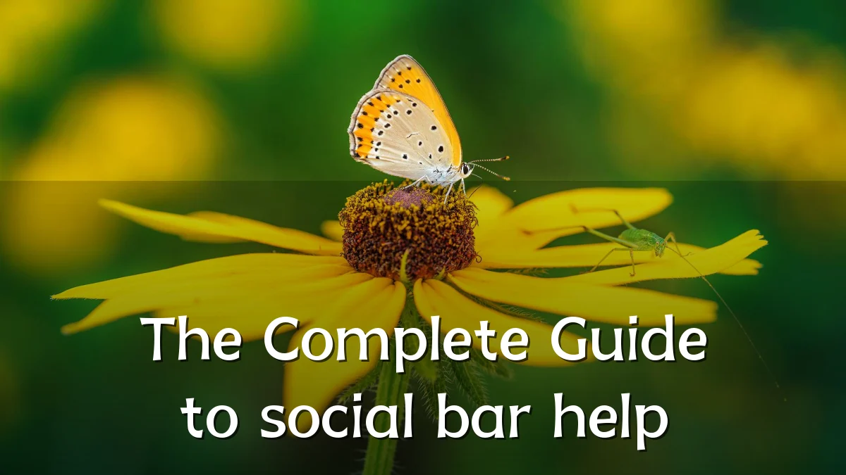 The Complete Guide to social bar help