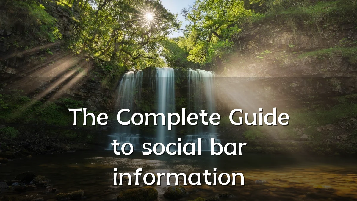 The Complete Guide to social bar information