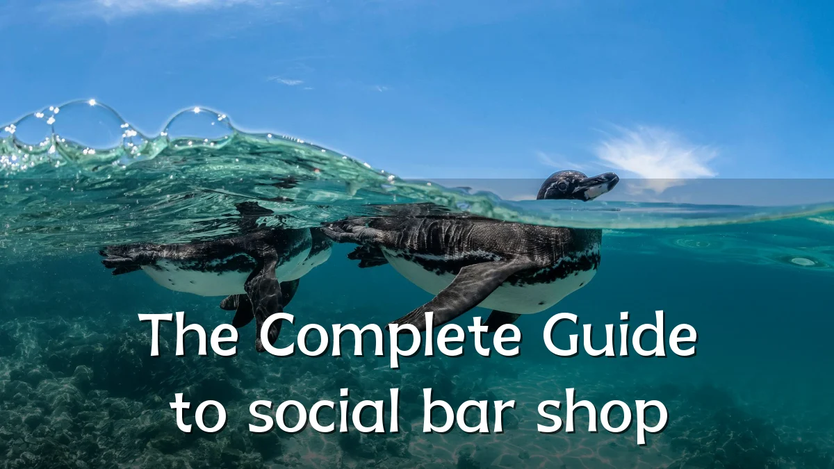 The Complete Guide to social bar shop