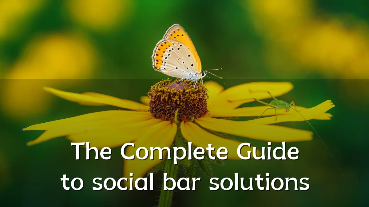 The Complete Guide to social bar solutions