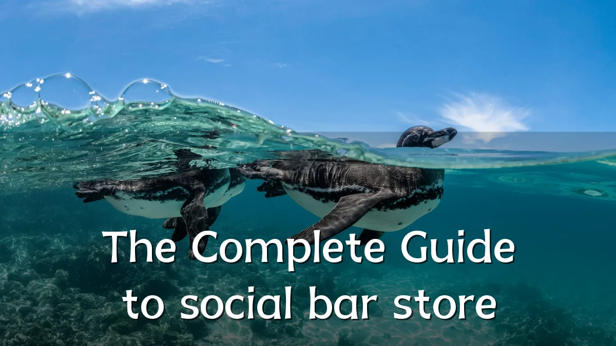 The Complete Guide to social bar store