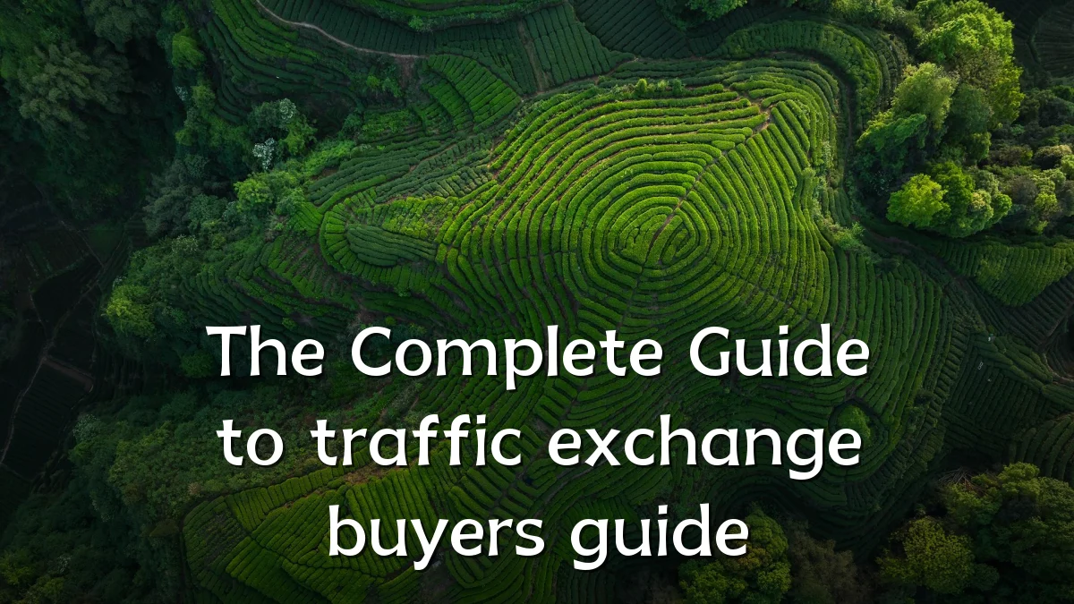 The Complete Guide to traffic exchange buyers guide