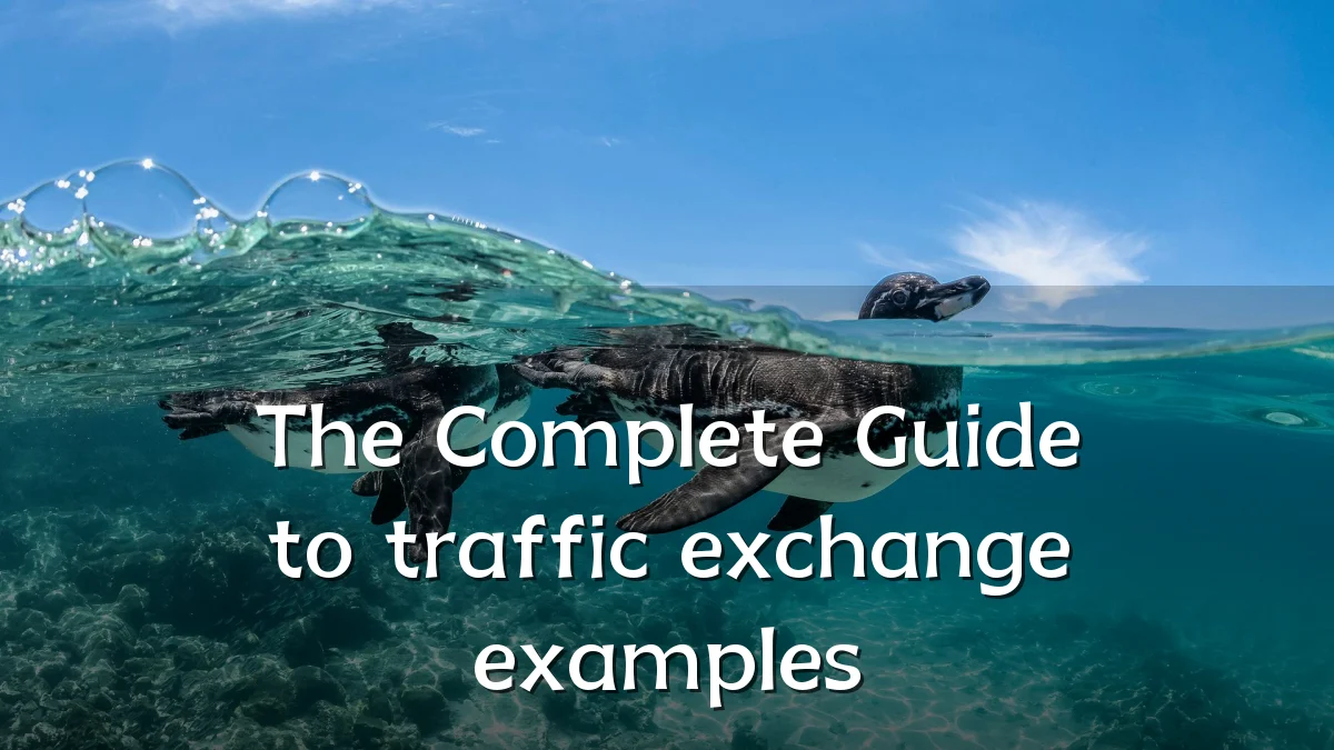 The Complete Guide to traffic exchange examples