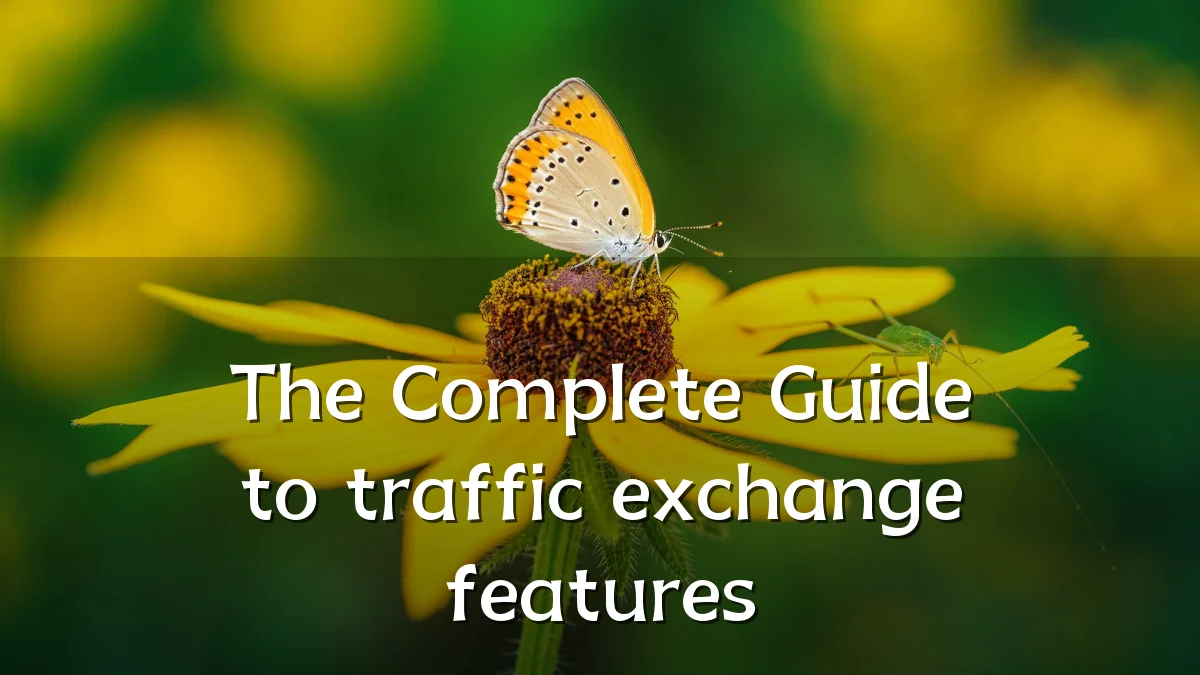 The Complete Guide to traffic exchange features