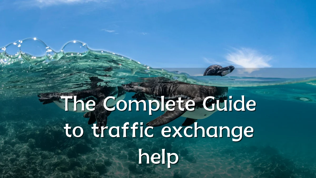 The Complete Guide to traffic exchange help
