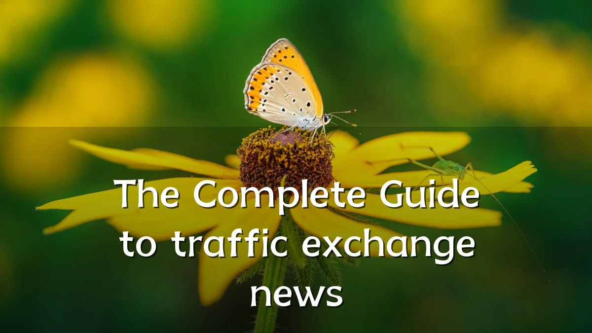 The Complete Guide to traffic exchange news