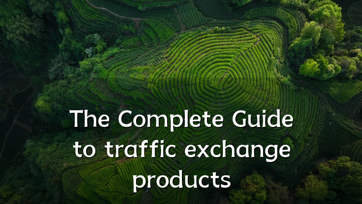 The Complete Guide to traffic exchange products