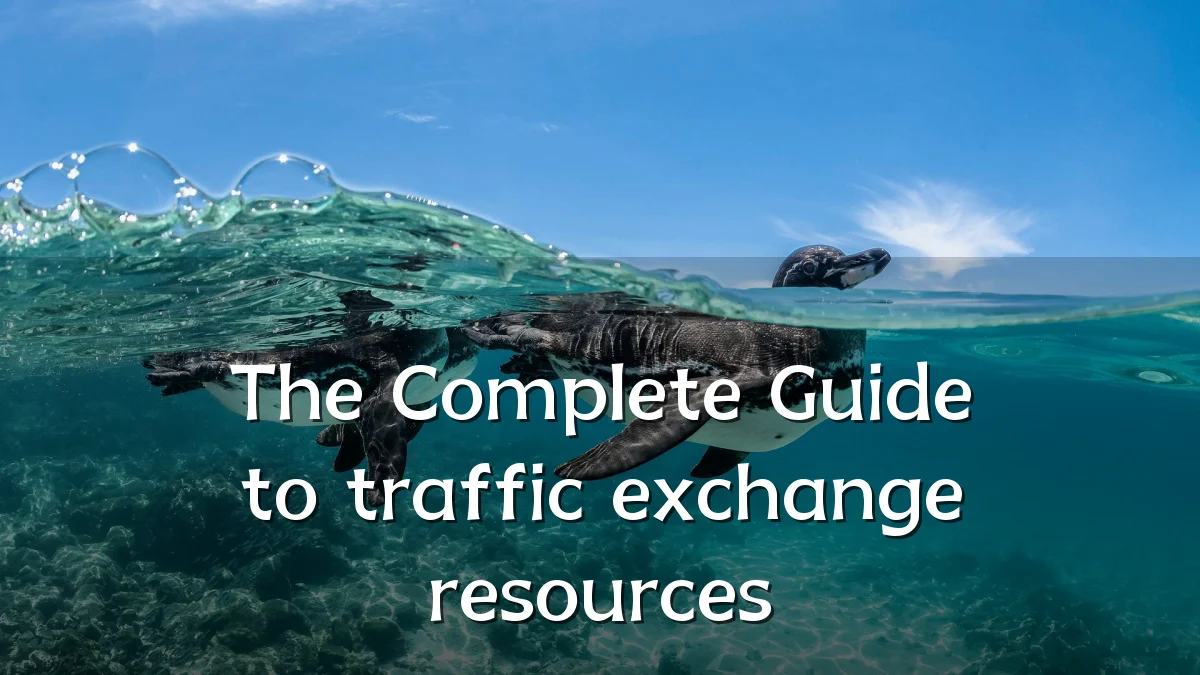 The Complete Guide to traffic exchange resources