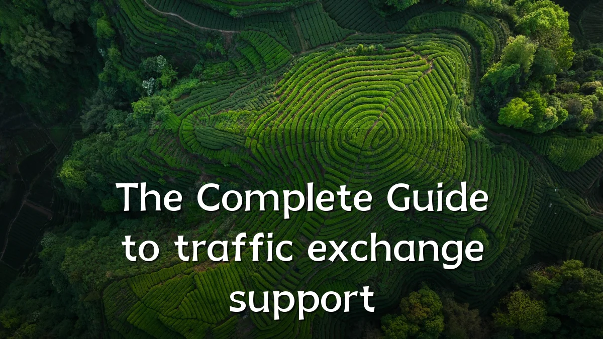 The Complete Guide to traffic exchange support