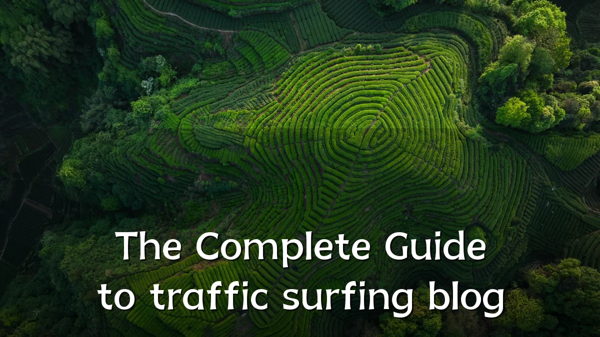 The Complete Guide to traffic surfing blog