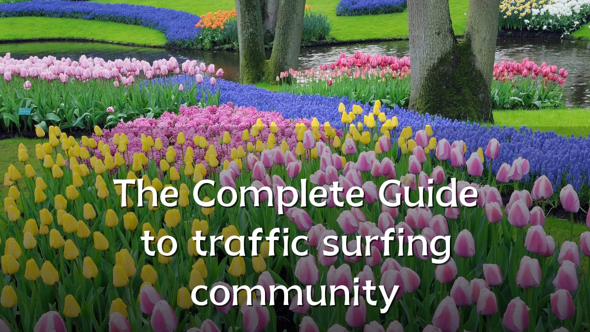 The Complete Guide to traffic surfing community
