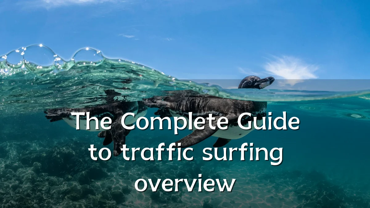 The Complete Guide to traffic surfing overview