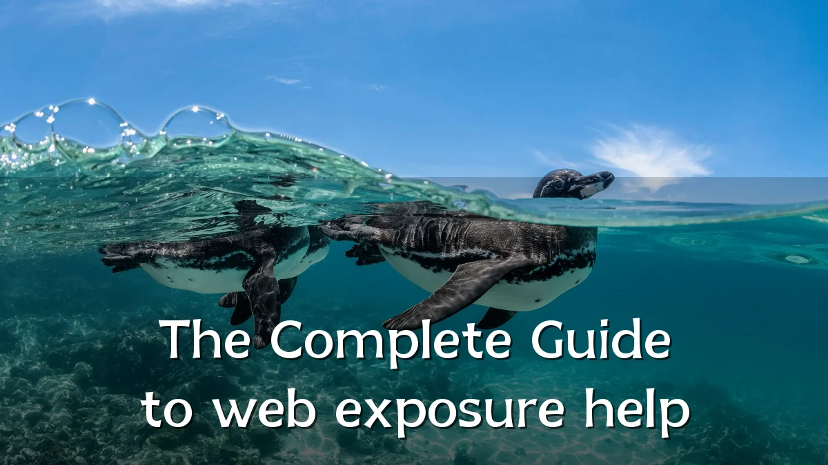 The Complete Guide to web exposure help