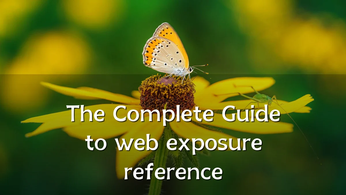 The Complete Guide to web exposure reference